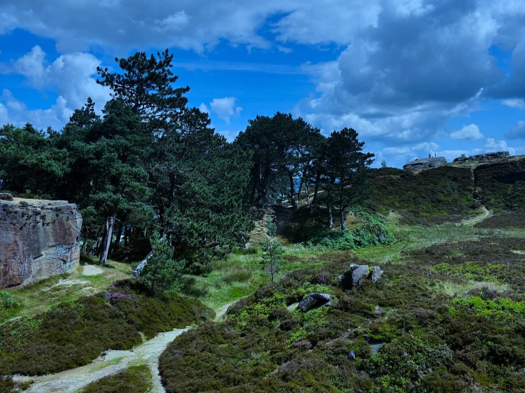 Ilkley Moor-伊尔克利必去景点