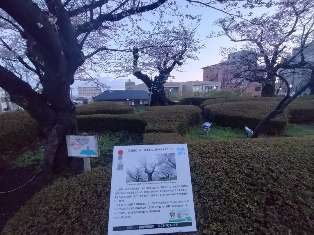 Kaiseiyama Park-郡山市必去景点