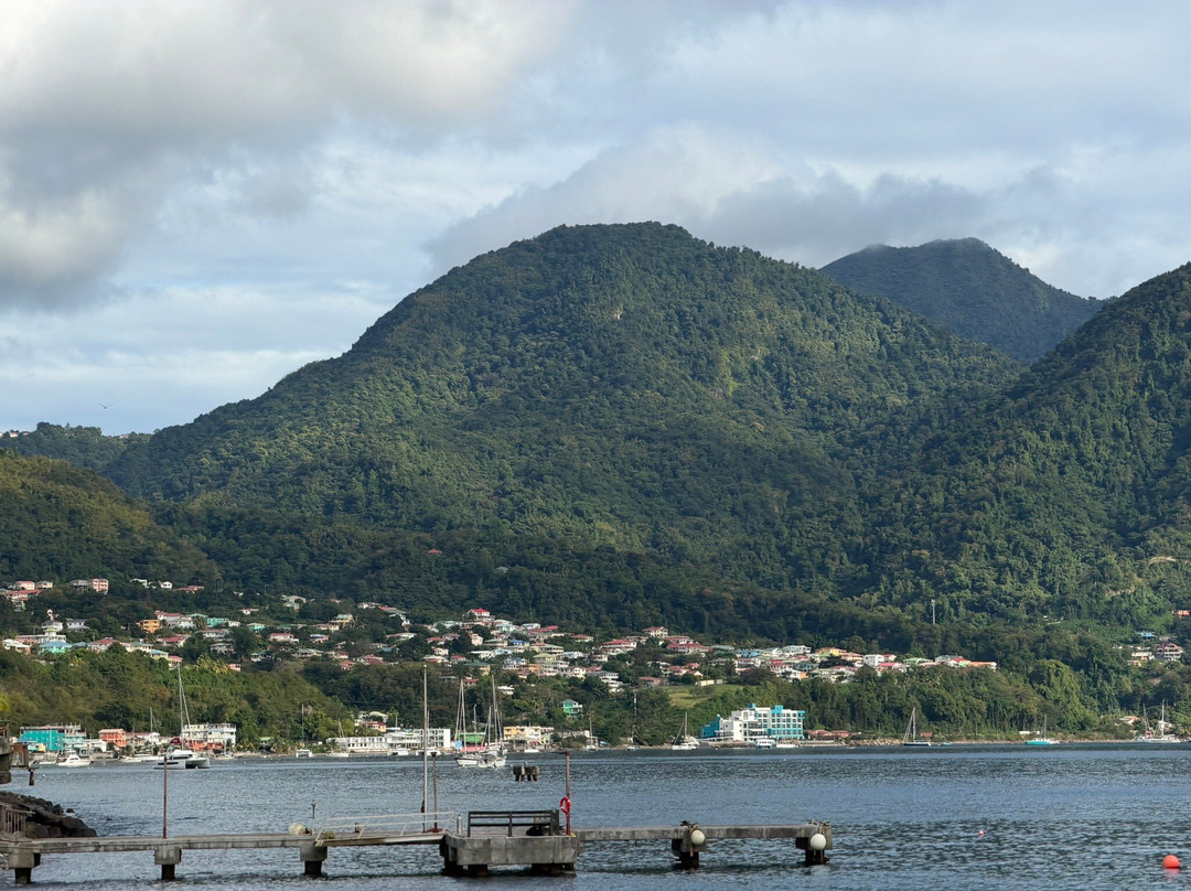 Sheppee Fun Tours Dominica-罗索必去景点