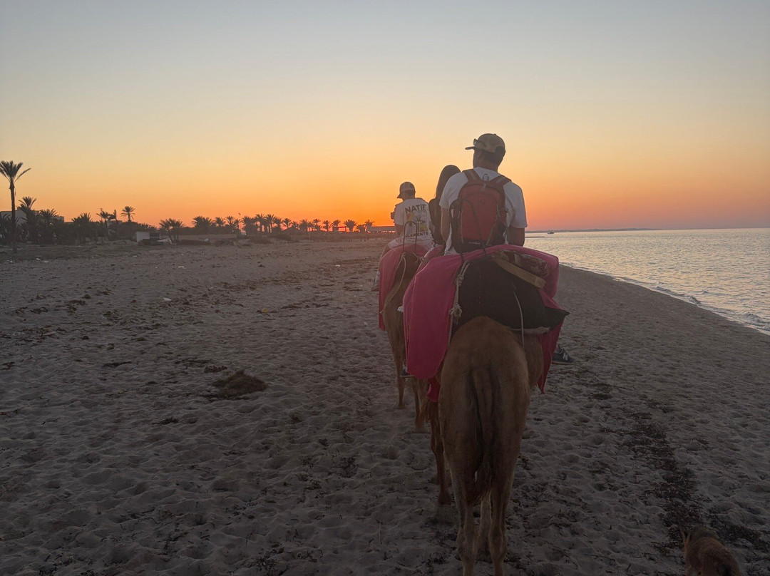 Ennakhil de tourisme Djerba-米栋必去景点