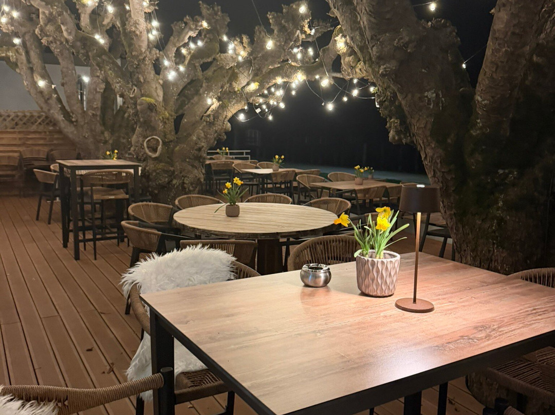 阿德勒西酒店主图