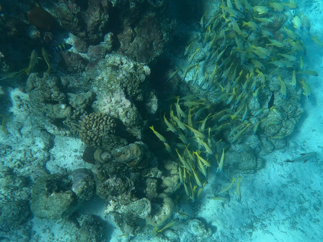 马尔代夫菲哈霍希酒店主图