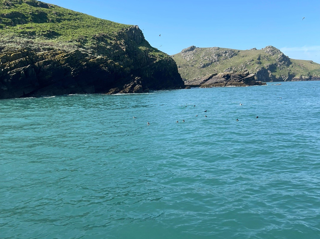 Pembrokeshire Islands Boat Trips-Marloes必去景点