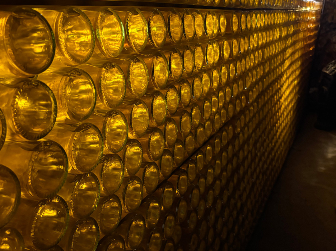 Domaine Albert Seltz-米特贝汉必去景点