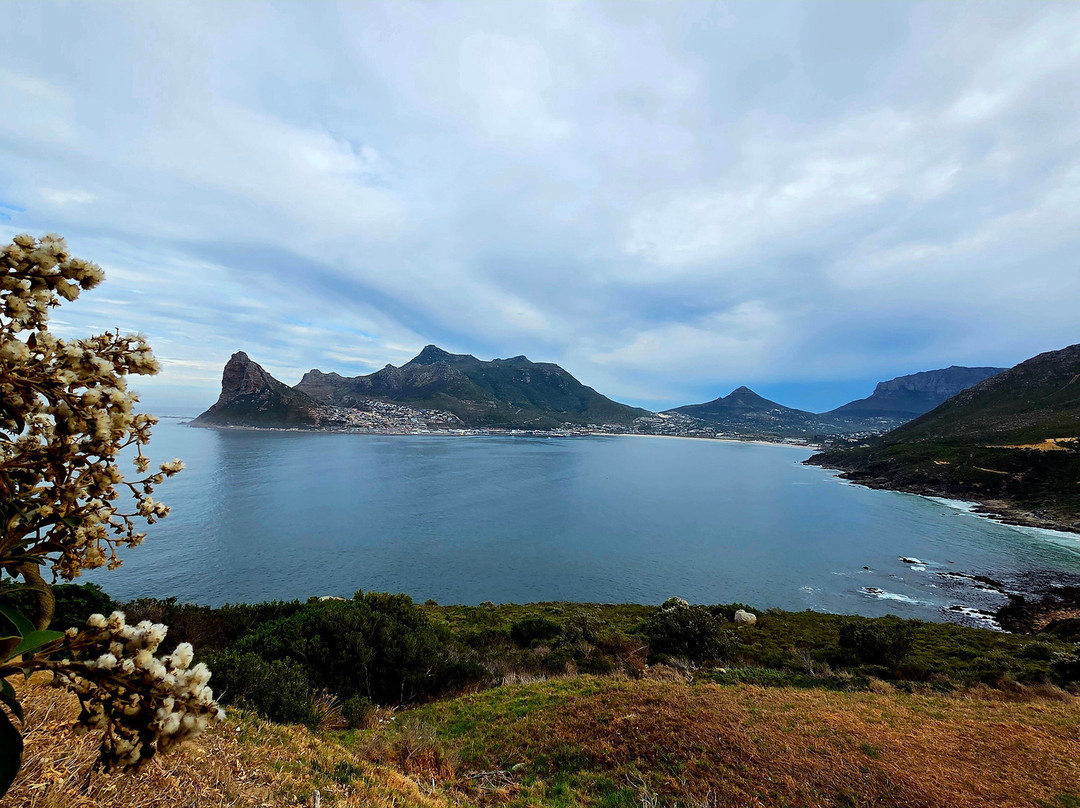 Dreamcoast Tours & Transfers-开普敦必去景点