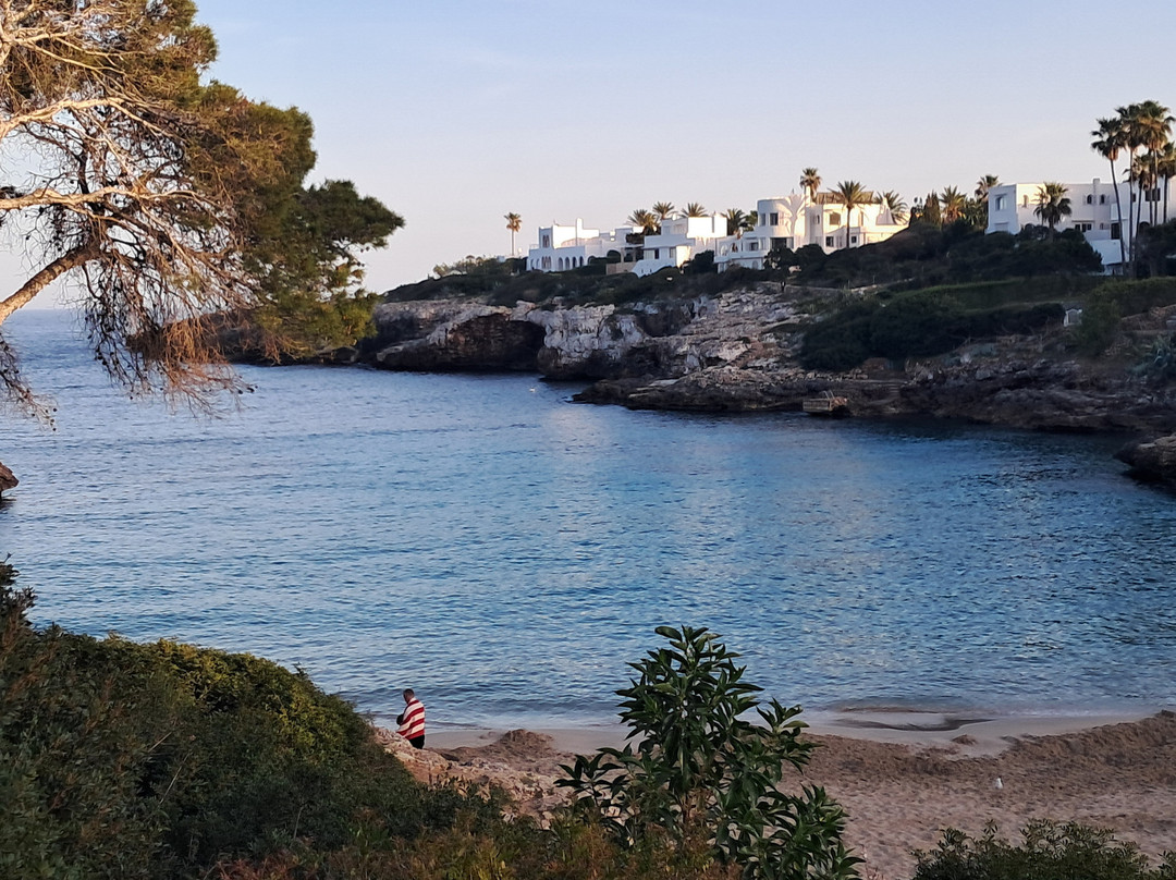 Cala Esmeralda Beach-卡拉多尔必去景点