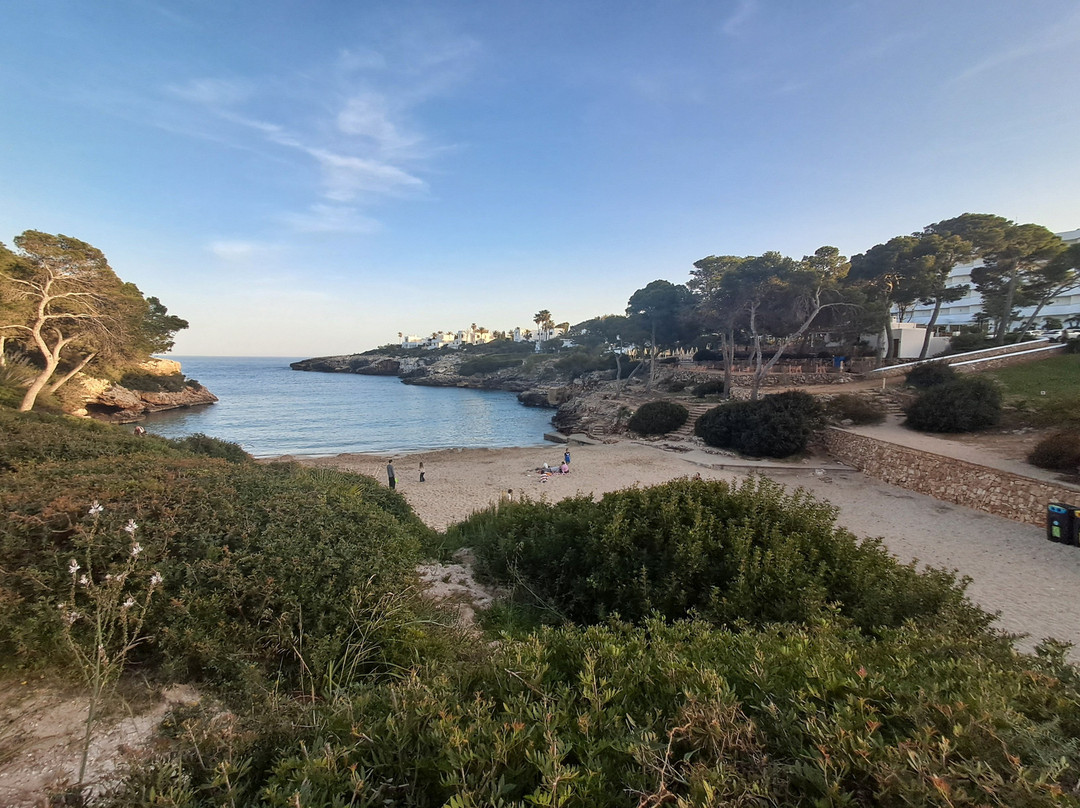 Cala Esmeralda Beach-卡拉多尔必去景点