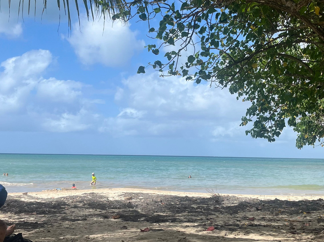 Plage Manbia-Sainte Rose必去景点