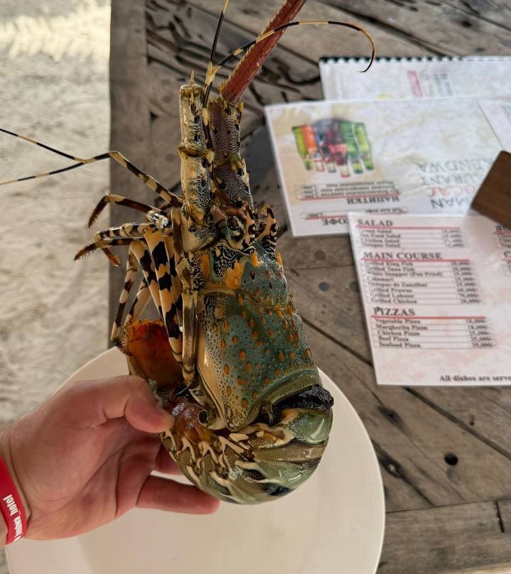 Tropicana Kendwa Beach Hotel主图