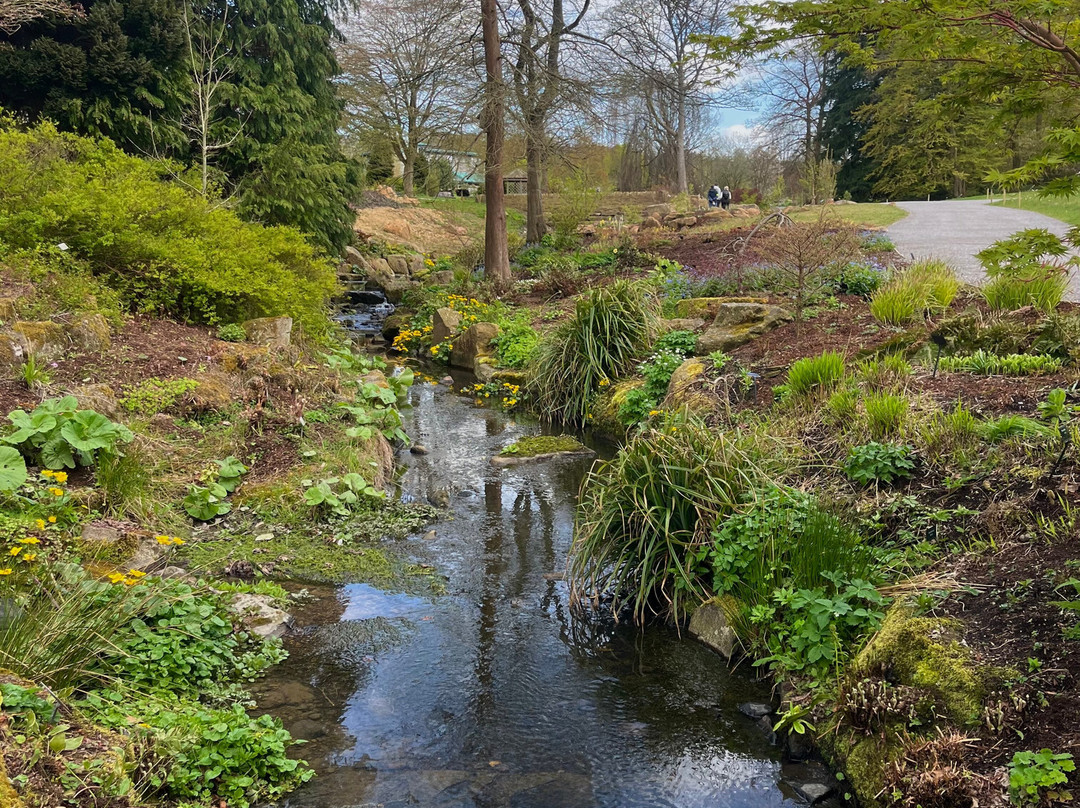 RHS Garden Harlow Carr-哈罗盖特必去景点