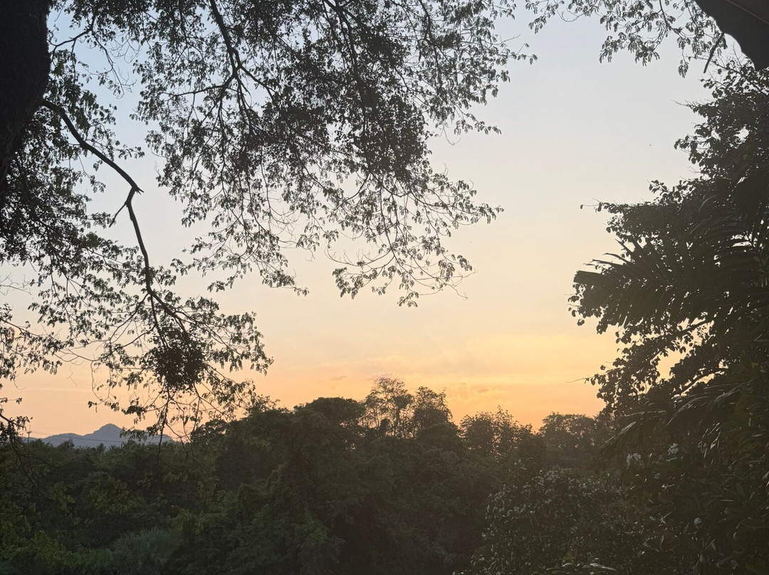 东方葵度假村主图