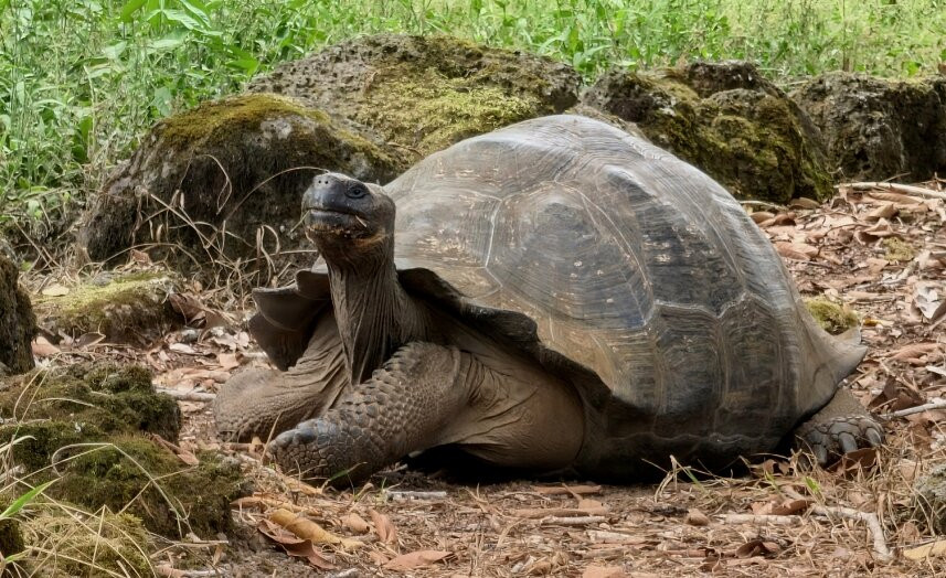 塞米拉维尔德精品酒店主图