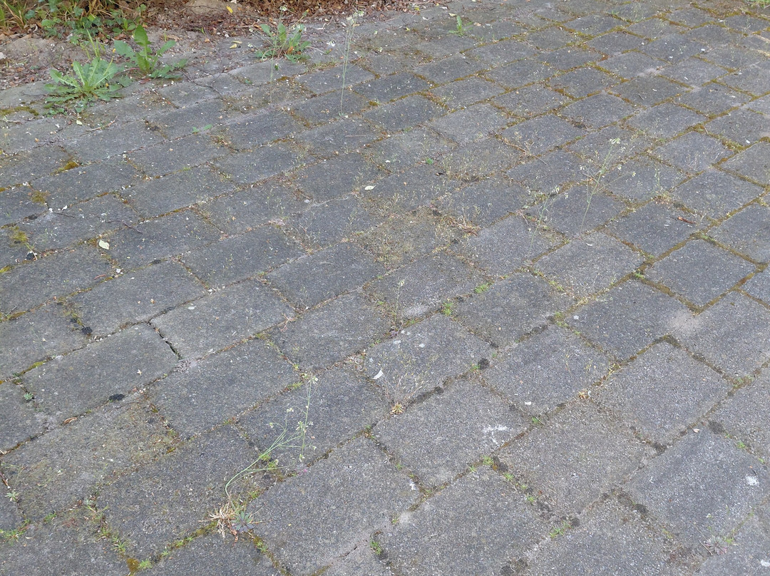 欧洲公园莫伦格鲁特主图