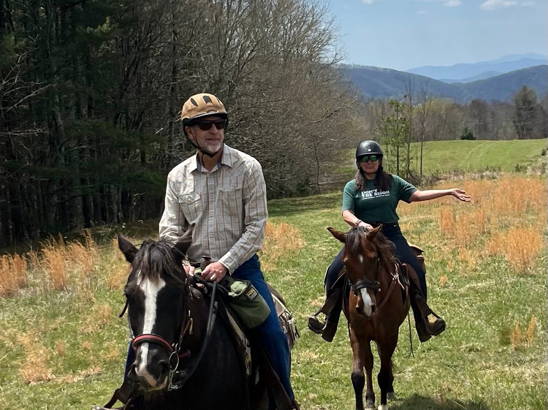 Elk Mountain Riding Company-Newland必去景点