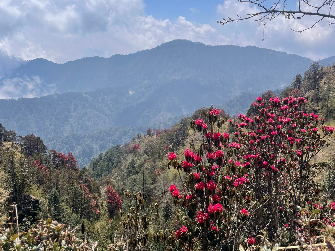 Ashmita Trek And Tours-大吉岭必去景点
