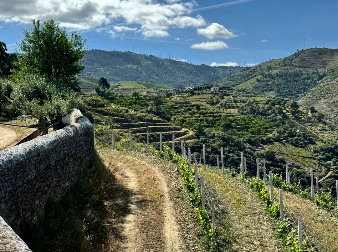 Quinta dos Frades-Armamar必去景点