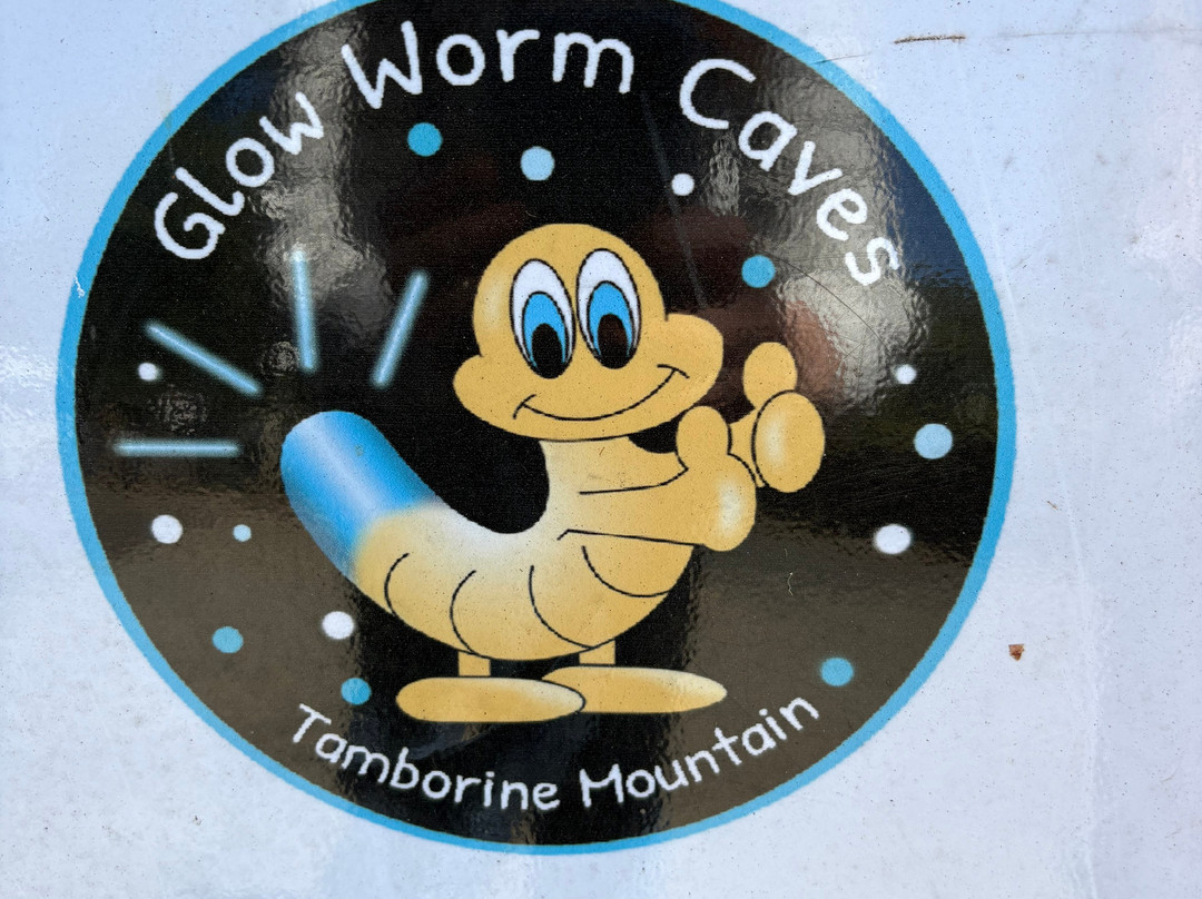 Tamborine Mountain Glow Worm Caves-丹百林山必去景点
