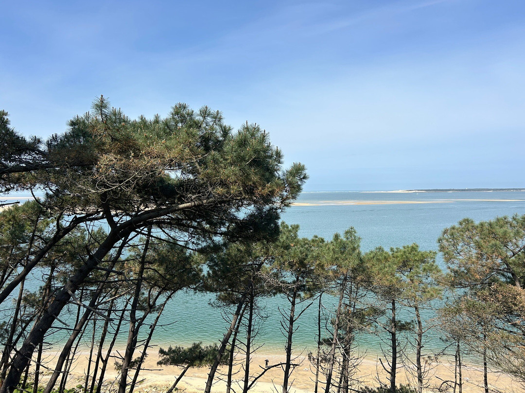 Great Dune of Pilat-拉泰斯特德比克必去景点