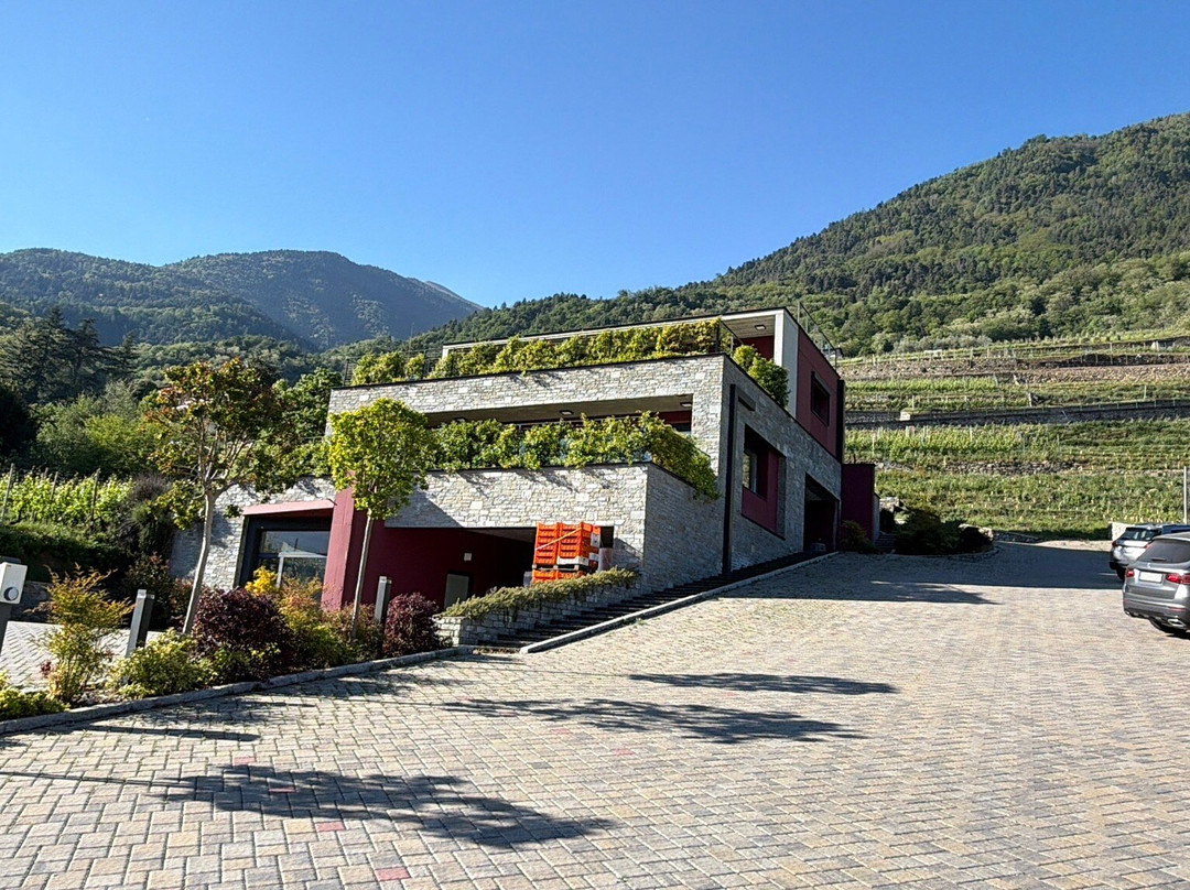 Nebbiolo Wine B&B主图