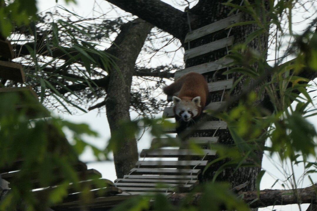 Bristol Zoo Project-Easter Compton必去景点
