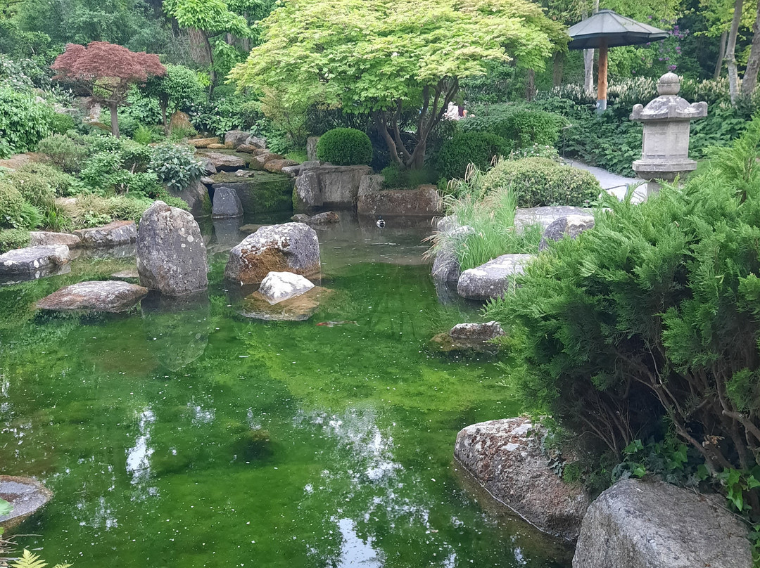 Japanischer Garten-维尔茨堡必去景点