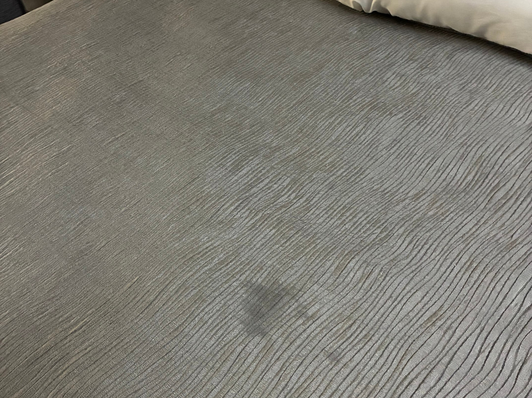乔治亚科默斯温德姆呗盟酒店 - 近丹吉尔畅货中心主图