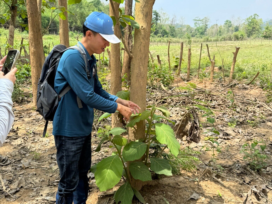 MandaLao Elephant Conservation-琅勃拉邦必去景点