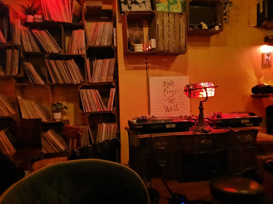 Needle Vinyl Bar-维也纳必去景点