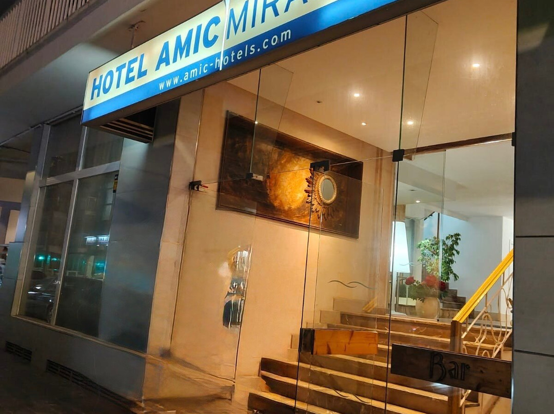 阿米克米拉弗洛雷斯酒店主图