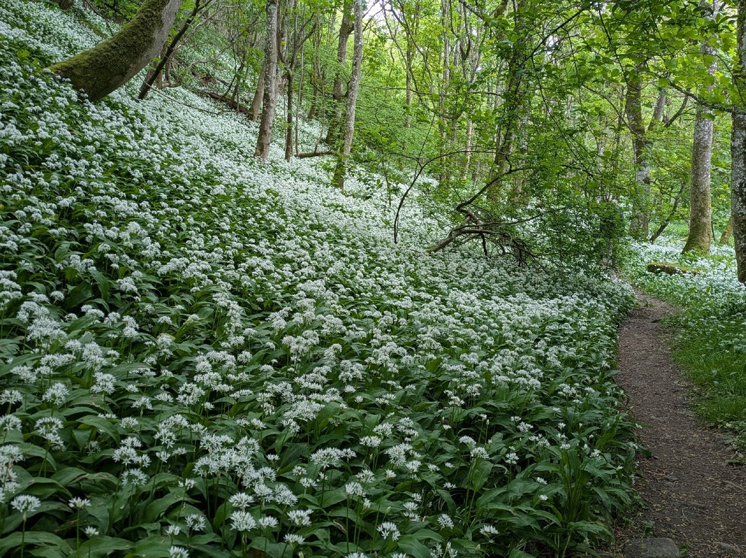 Deepdale Nature Reserve-Barnard Castle必去景点