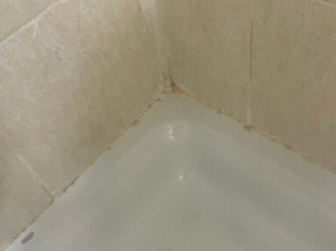 阿巴特西斯内罗斯蒙特塞拉特酒店主图
