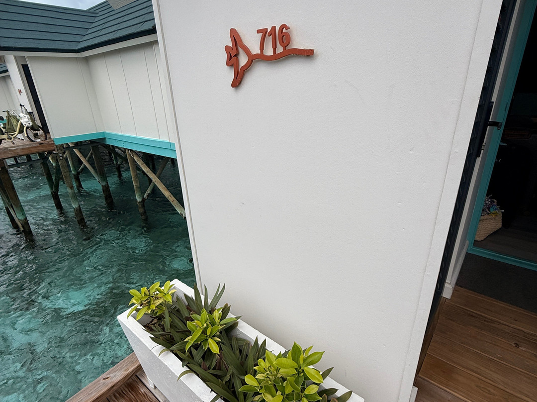 奥露·哈林吉利岛主图