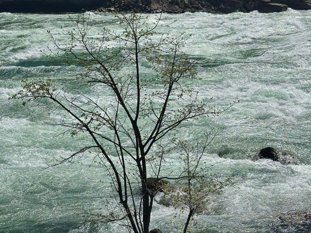 White Water Walk-尼亚加拉大瀑布必去景点
