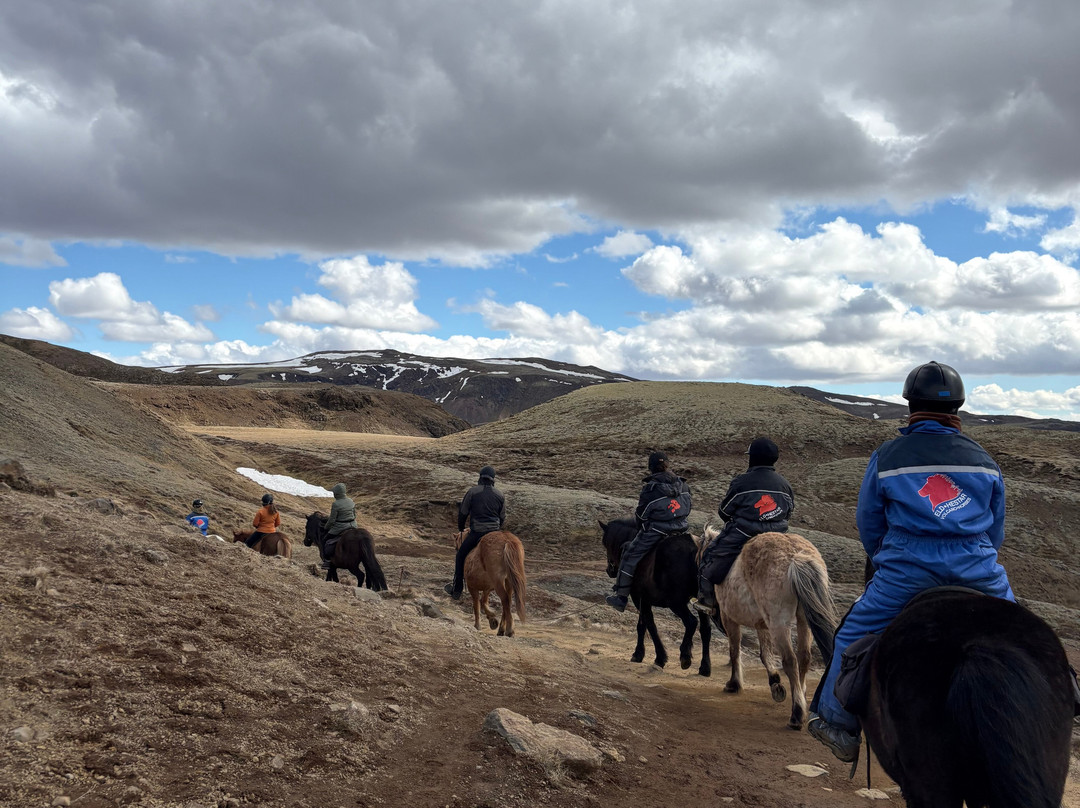 Eldhestar Volcano Horses-Olfus必去景点