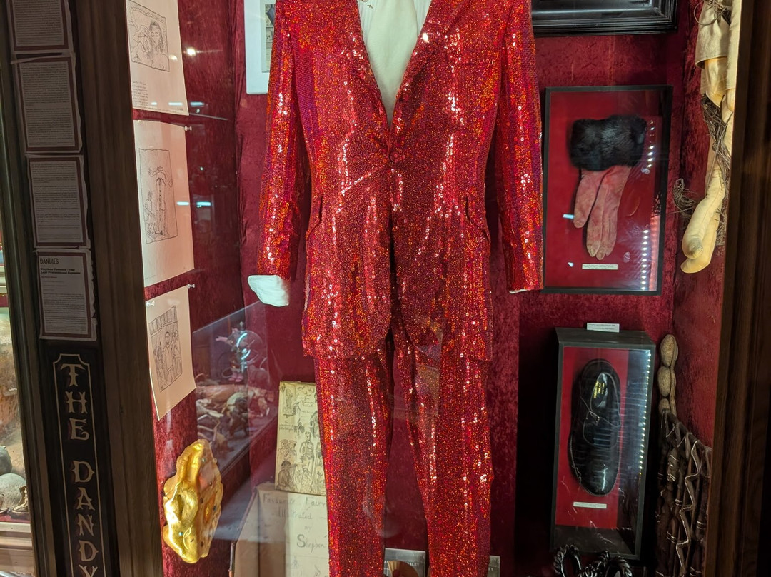 The Viktor Wynd Museum of Curiosities, Fine Art & UnNatural History-伦敦必去景点