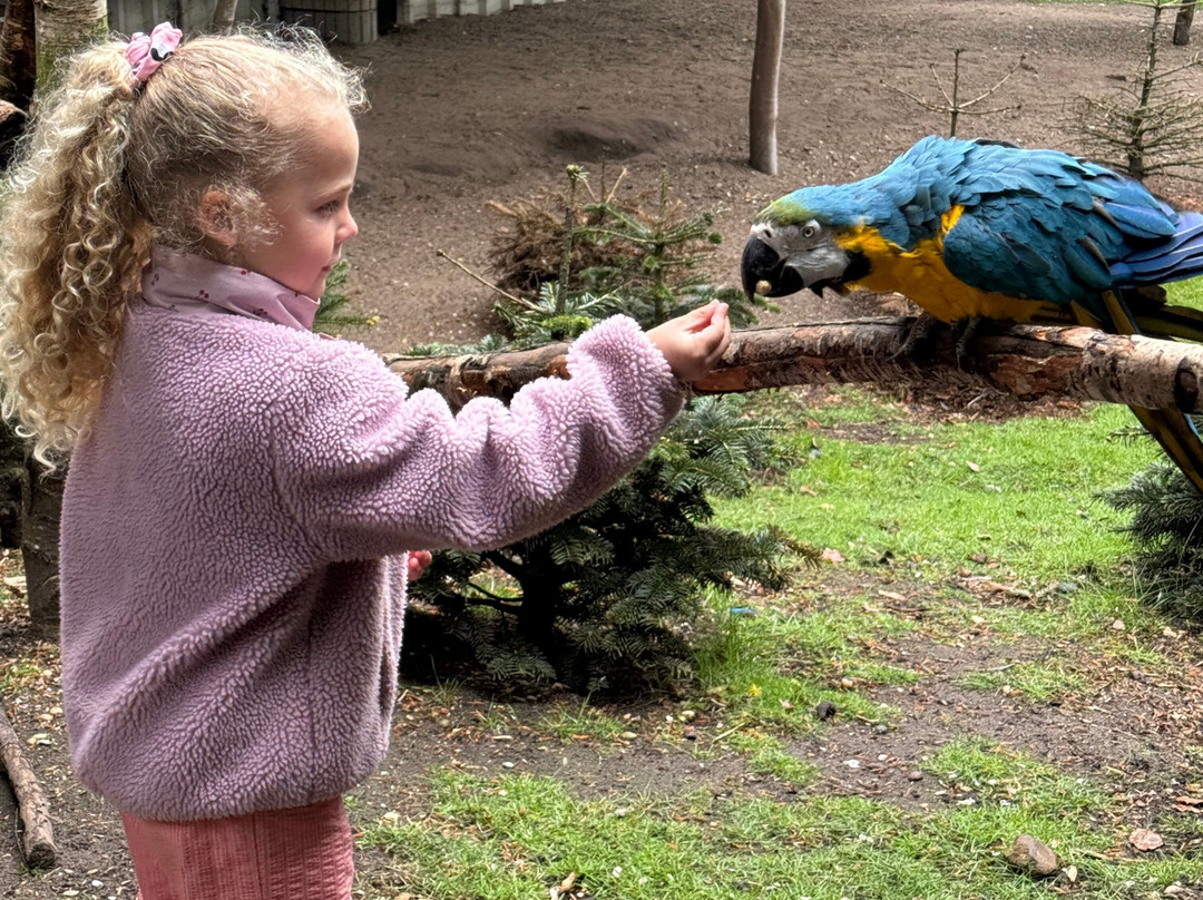 Dyrenes Verden Filskov Mini Zoo i Billund-格林斯泰兹必去景点