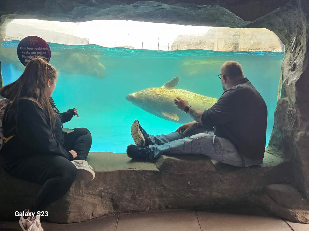 Sea Life Scarborough-斯卡伯勒必去景点