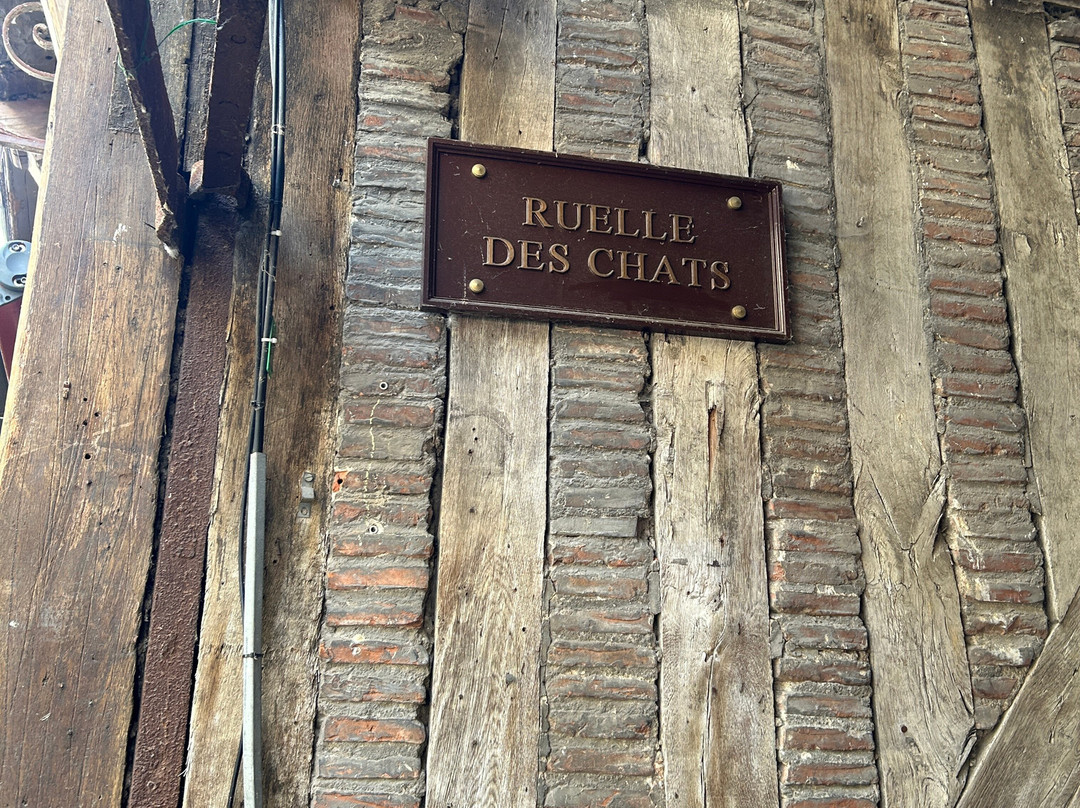 Ruelle des Chats-特鲁瓦必去景点