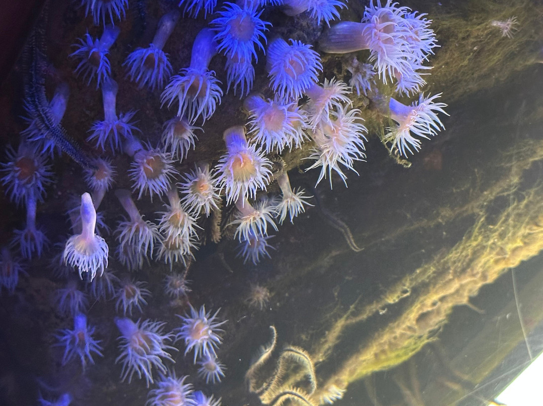 Sea Life Scarborough-斯卡伯勒必去景点