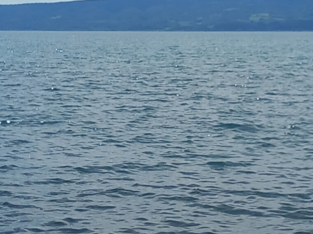Lago di Bolsena-博尔塞纳必去景点