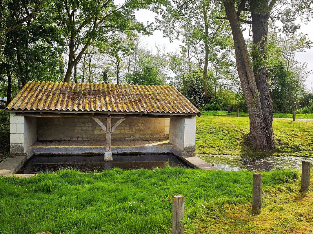 Lavoir de la fontaine d'Adam à Vénier auprès de Loudun