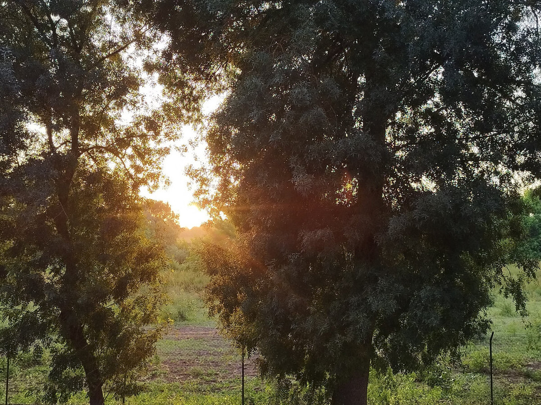 Parque de Campismo Escaroupim