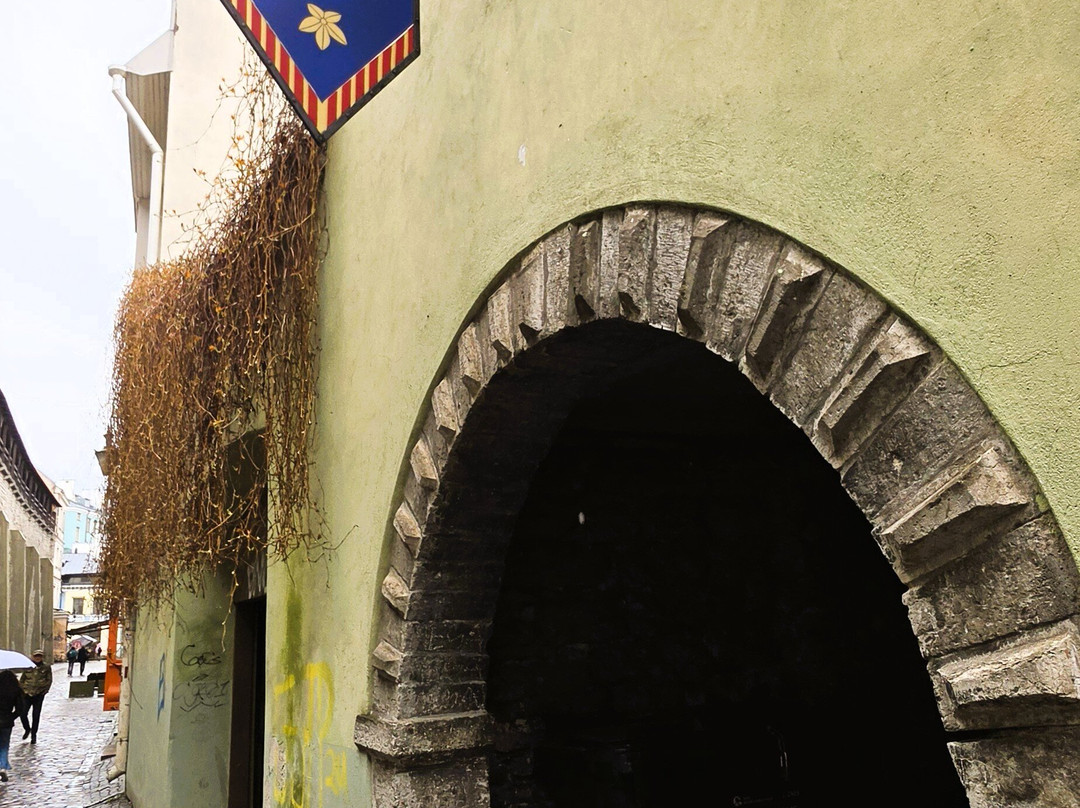 St. Catherine's Passage-塔林必去景点