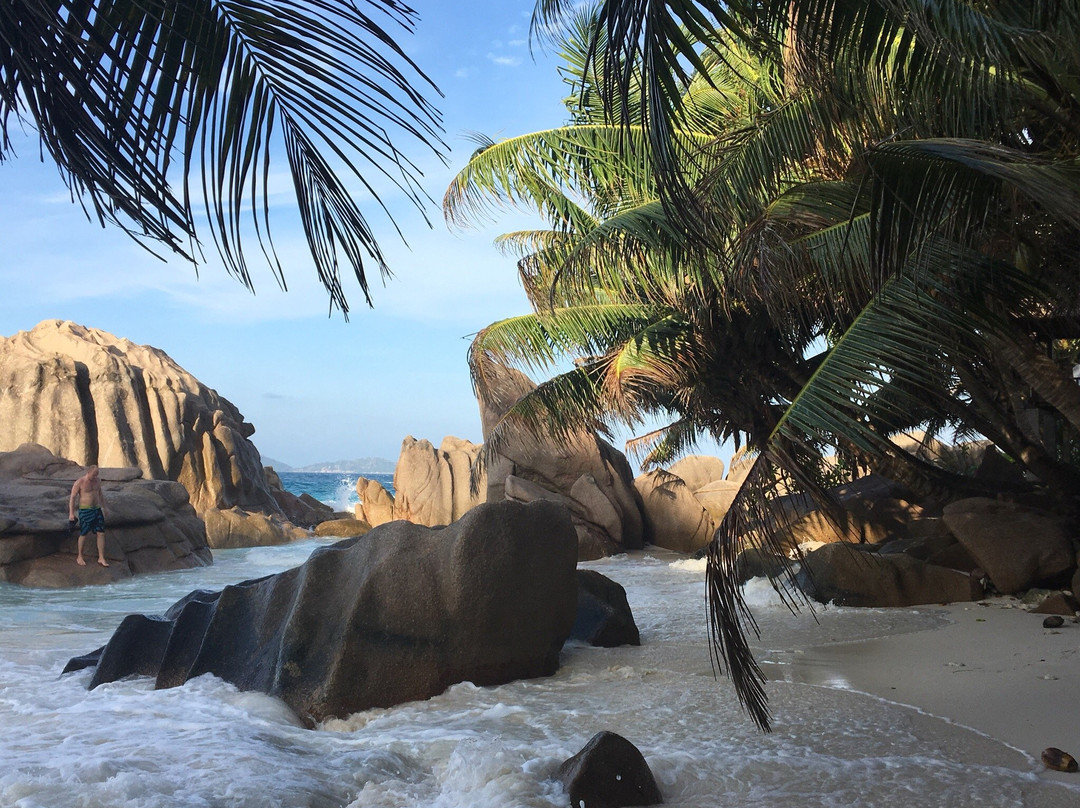 Anse Patates Beach-拉迪格岛必去景点