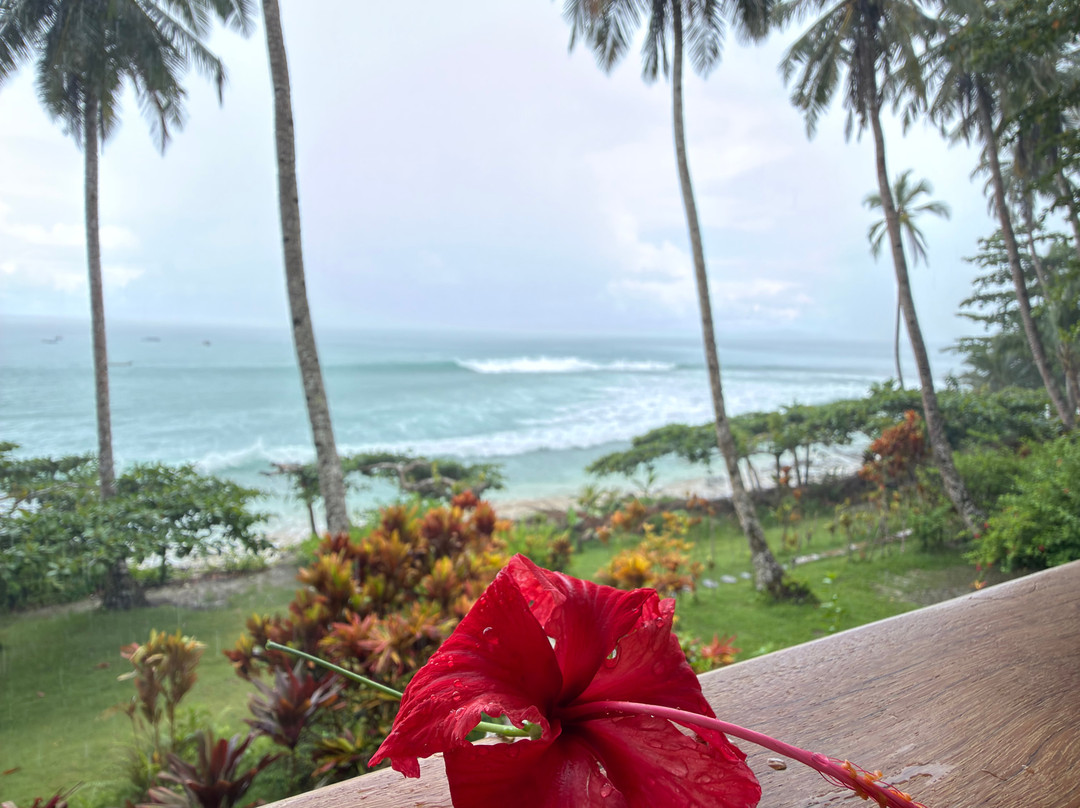 Mentawai Surf Retreat®主图