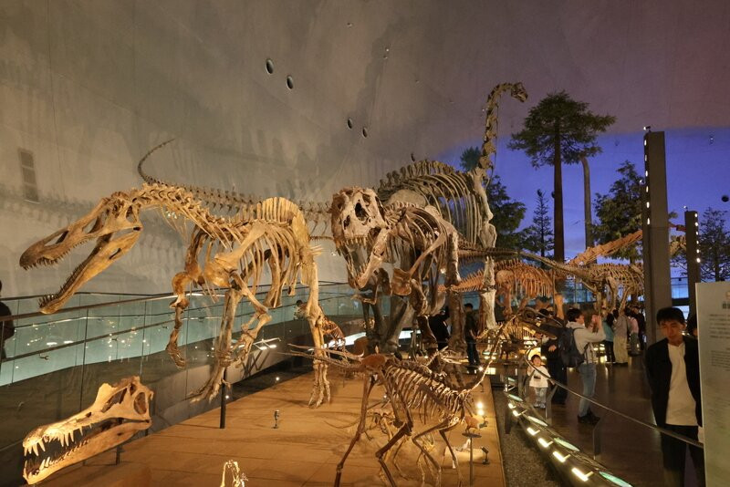 Fukui Prefectural Dinosaur Museum-胜山市必去景点