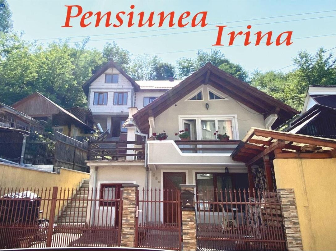 Pensiunea Irina
