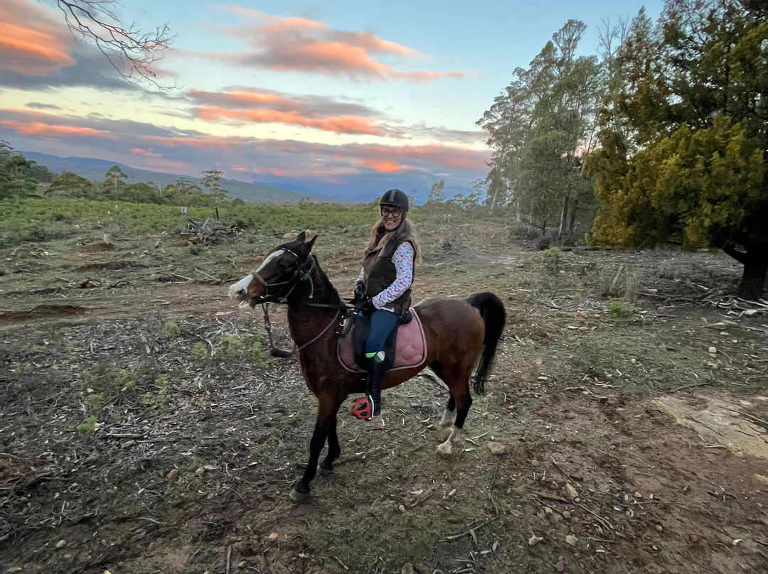 Horse Riding Tasmania-Woodsdale必去景点