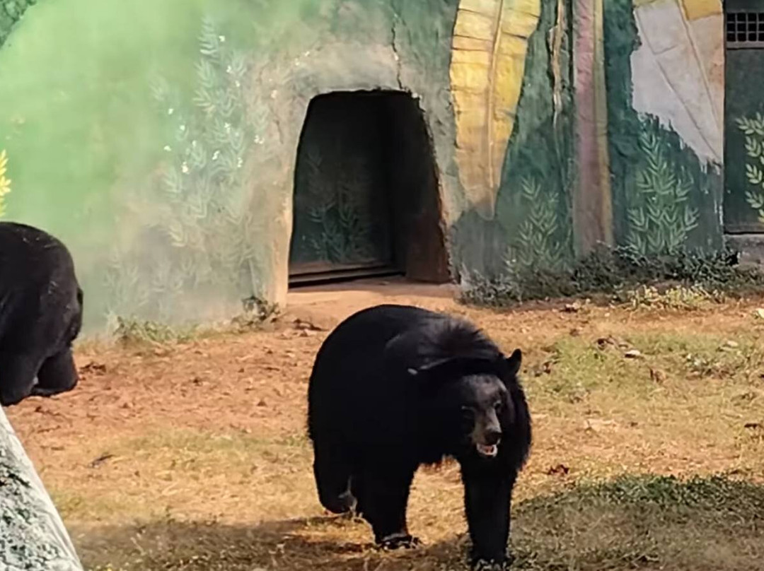 Nandankanan Zoological Park-布巴内斯瓦尔必去景点