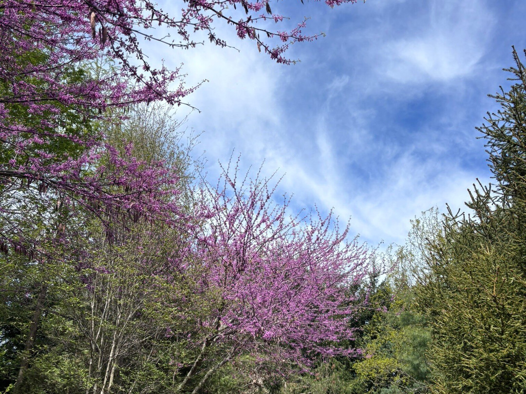 Whistling Gardens-Wilsonville必去景点
